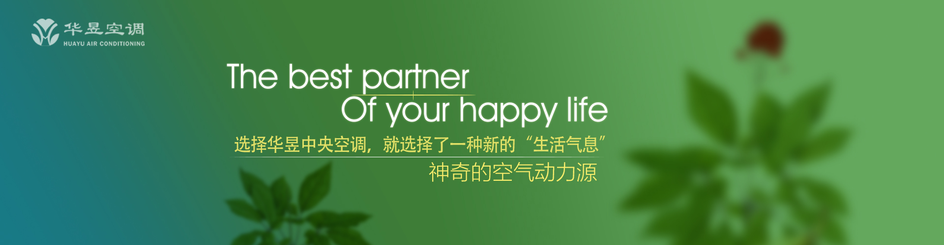 爽心悦目网